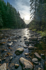 Boulder Creek in the St. Joe National Forest, Idaho