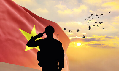 Silhouette of a soldier with the Vietnam flag stands against the background of a sunset or sunrise....