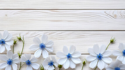 Several white gentle nigella flowers placed on white wooden background with space for text. Conceptual symbol spring. Beautiful wildflower. Copy space.