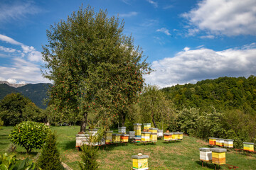 Hives in Moraca orthodox monastery, Kolasin province, central Montenegro