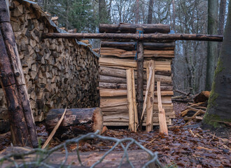 Forst, Waldnutzung, Kaminholz, nach starken Regenfällen