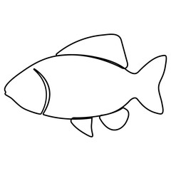 Continuous single-line art of fish. Cute fish one-line drawing vector and illustration
