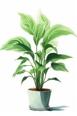 A Refreshing Potted Plant