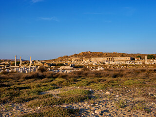 Obraz premium Delos Archaeological Site, Delos Island, Cyclades, Greece