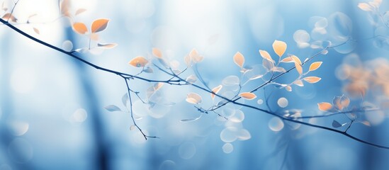 defocused abstract texture background. Blurred shadows of trees on light blue background