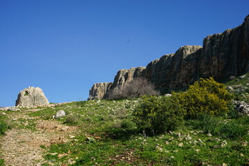 Mount Arbel
