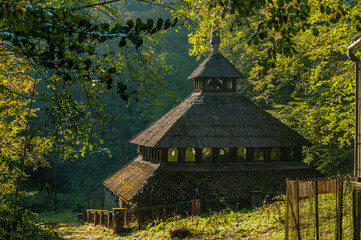Autumn forest, Beskid Sądecki, Lesser Poland, EU, Jesienny las, Beskid Sądecki, Małopolska, EU - obrazy, fototapety, plakaty