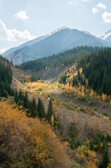 Picturesque mountain valley in the Almaty region of Kazakhstan covered with green and yellow trees in autumn, vertical shot