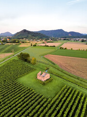 Aerial view of old house ruin in agricultural grapevine field on vineyard with hills in the background on an overcast day