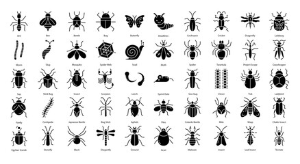 Insects Glyph Icons Insect Bug Butterfly Iconset
50 Vector Icons in Black - obrazy, fototapety, plakaty