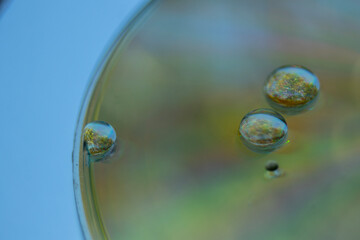 Water droplets, background images or textures that are naturally beautiful if the image is enlarged with a macro lens or close-up.