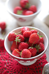 とりたてのイチゴ