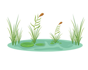 wetland natural illustration