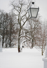 Elagin Park in winter in St. Petersburg
