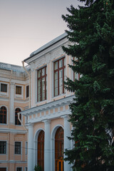 Anichkov Palace in St. Petersburg