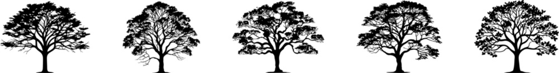 Obraz premium Tree silhouettes, vector, conifers, etc.
