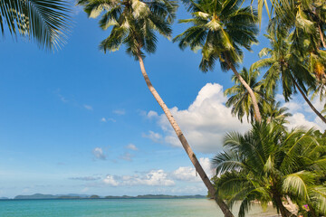 Port Barton, Palawan  Philippines - December 23 2023 - Beautiful coastline and turquoise water at the Port Barton Beach in San Vicente, Palawanin the White Beach near Port Barton