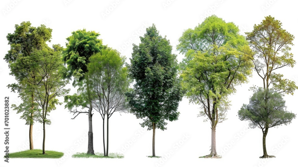 Poster A group of trees standing in the grass. Can be used as a background image or for nature-themed projects