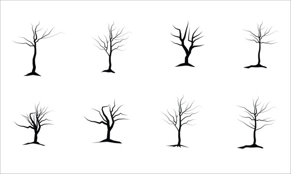 Large leafless hardwood trees are seen silhouetted on a white background in a isolated transparent illustration.