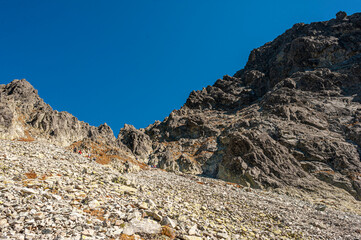 Autumn forest  Lesser Poland, EU, Jesienny las, Tatry. Małopolska, EU