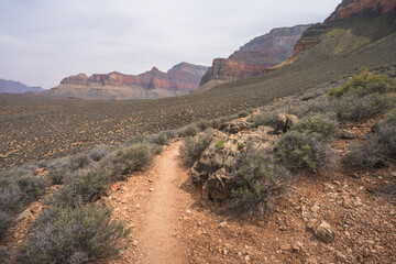 hiking the tonto trail in the grand canyon national park, arizona, usa