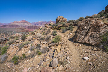 hiking the tonto trail in the grand canyon national park, arizona, usa
