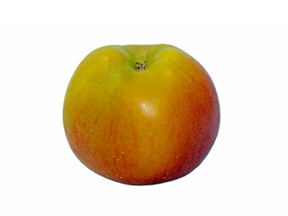 A yellowish red apple (Malus sp.) for eating as snack