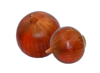 Onion (Allium cepa) is a most widely cultivated and consumed root vegetable worldwide.