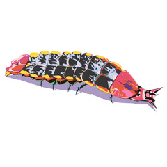 fireflies larvae 2