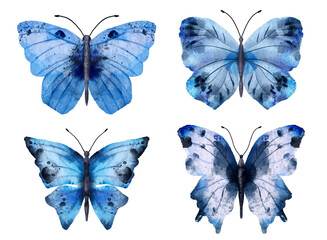 Set of watercolor butterflies. Digitally hand painted PNG transparent illustration