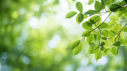Obraz premium ?lose-up of vibrant green leaves with a soft-focus background