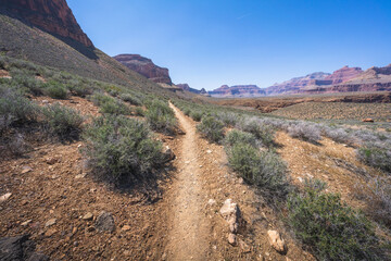 hiking the tonto trail in the grand canyon national park, arizona, usa
