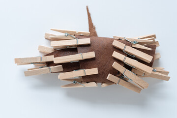 wooden crafting clothespins clipped to a leather piece and isolated on blank paper