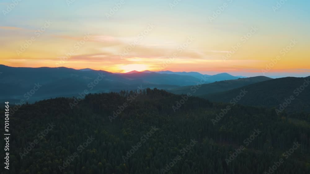 Canvas Prints Aerial view of foggy evening over high peaks with dark pine forest trees at bright sunset. Amazing scenery of wild mountain woodland at dusk - Canvas Prints