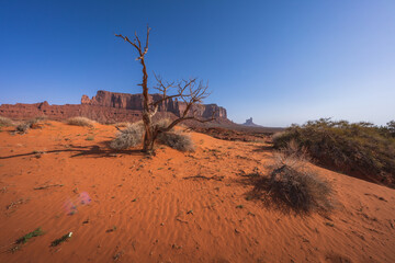 hiking the wildcat trail in monument valley, arizona, usa