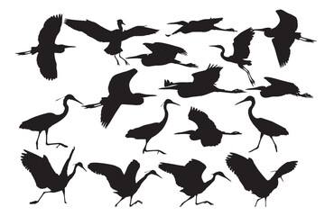 Herons. Vector images. White background. 