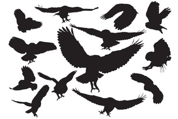 Flying owls. Vector images. White background. 