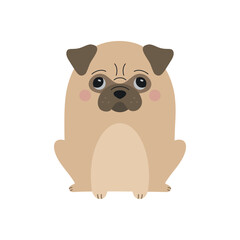 Obraz na płótnie Canvas Cute beige pug dog vector illustration