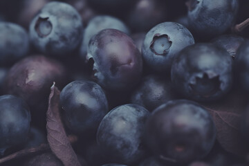Fresh blueberry with drops of water. Top view. Concept of healthy and dieting eating. Neural network AI generated art