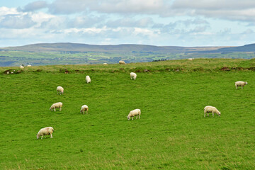 Portaneevey, Northern Ireland - september 15 2022 : seaside landscape