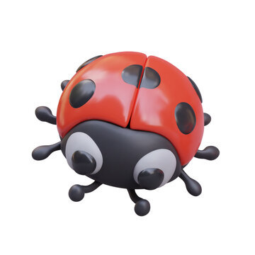 Top view on realistic ladybird on white background. Cute beneficial insect with red wings and black head and paws. Concept of bugs. Vector illustration in 3d style