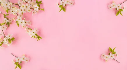 Keuken spatwand met foto Cherry blossom on the pink background. Copy space. Spring background. © Liudmyla