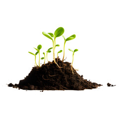 Growing Sprouts from a Soil Heap isolated on Transparent Background