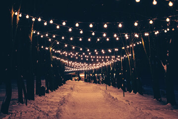 illuminated alley in snowy winter park, snow in forest and road with festive decorated light bulbs at night 4k - obrazy, fototapety, plakaty