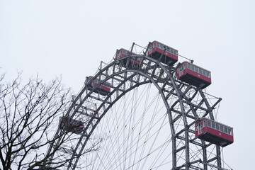 ferris wheel in the park