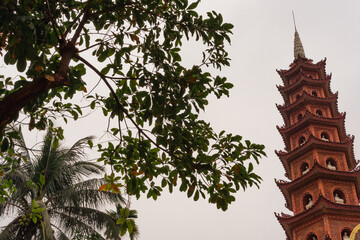 Temple pagoda with tree