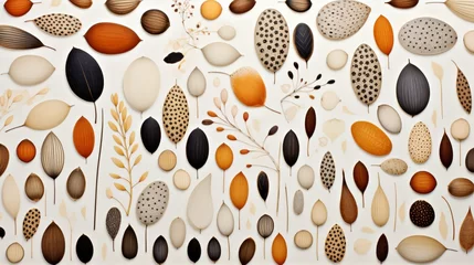 Fotobehang a harmonious pattern against a neutral background, creating a balanced and visually pleasing composition that highlights the diversity of seed colors. © Khan