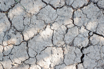 Top view cracked dry ground texture. Ecology and environment concept.