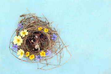 Blue tit bird nest with cracked shells and  Spring bluebell, cowslip and primula flowers on mottled...