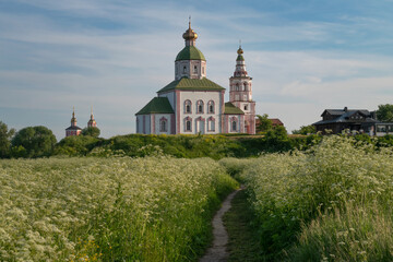 View of the Church of Elijah the Prophet on Ivanova Hill (Elijah Church) and Ilyinsky meadow on a sunny summer day, Suzdal, Vladimir region, Russia - obrazy, fototapety, plakaty